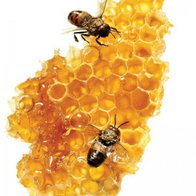 Doğanın Mucizesi Propolis