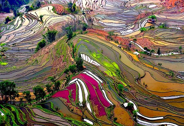 27. Pirinç Terasları, Çin
