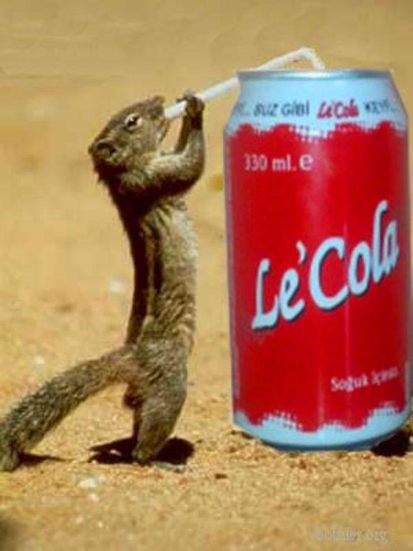 5-) Olum Le Cola kalmamış :(