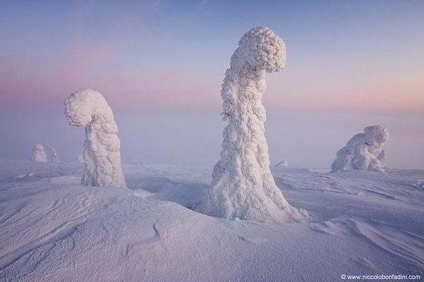 3. Sentinels of the Arctic, Finland