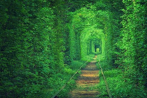 10. Tunnel of Love, Klevan, Ukraine