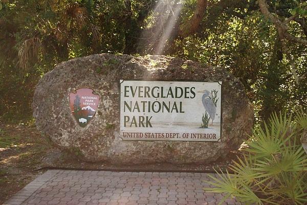 13. Timsahta bir dünya markası: Everglades National Park