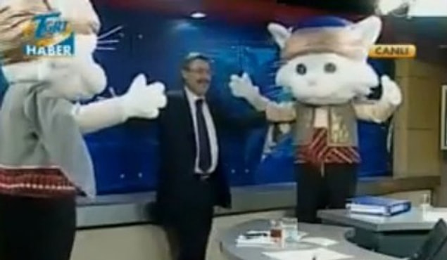 14. KEDİ LOBİSİ MİSKET OYNUYOR!!!