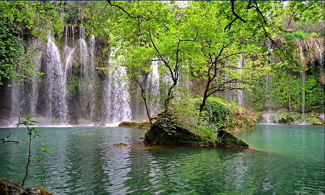 İlgili resim