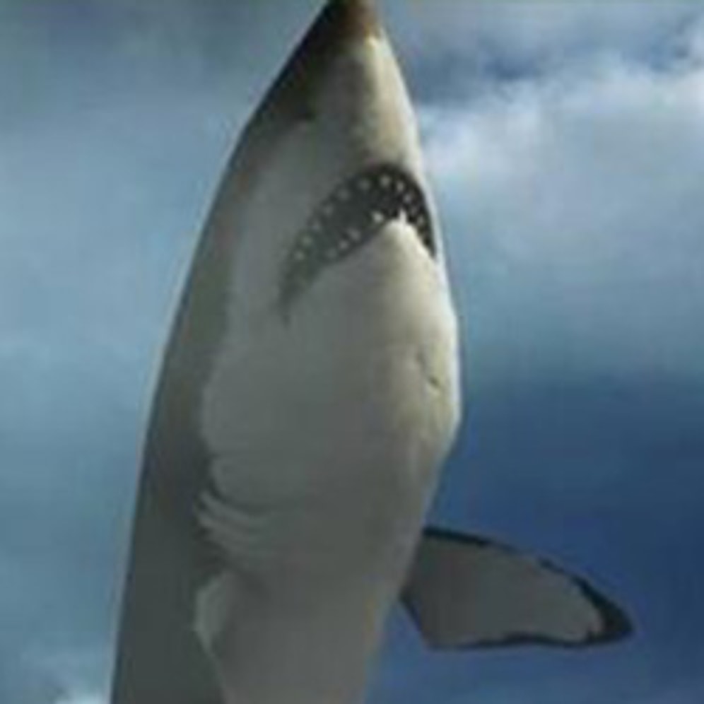 Battlefield 4'Ten ''Dişli'' Bir Easter Egg: Megalodon