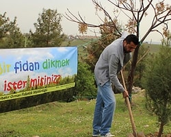 Cezalarını Fidan Dikerek Çektiler