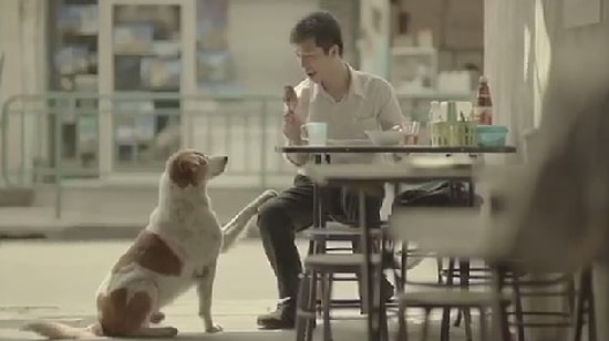 Mutluluğun Sırrını Çözen Adam (Türkçe Altyazılı)