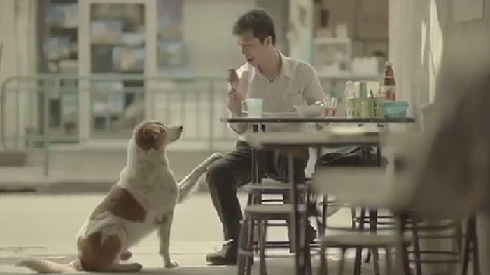 Mutluluğun Sırrını Çözen Adam (Türkçe Altyazılı)