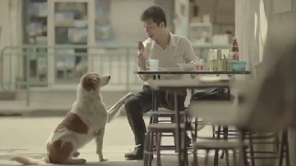 Mutluluğun Sırrını Çözen Adam (Türkçe Altyazılı)