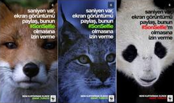 WWF’den “Selfie” Konseptli Etkileyici Kampanya