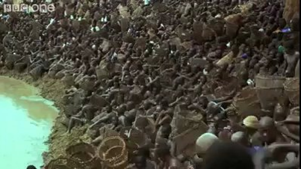 Afrika'daki Kutsal Bir Gölette Geleneksel Balık Avlama Günü