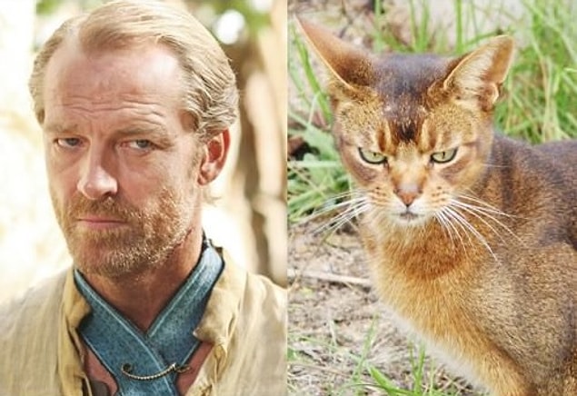 Jorah Mormont