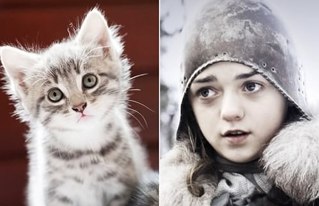 Arya Stark