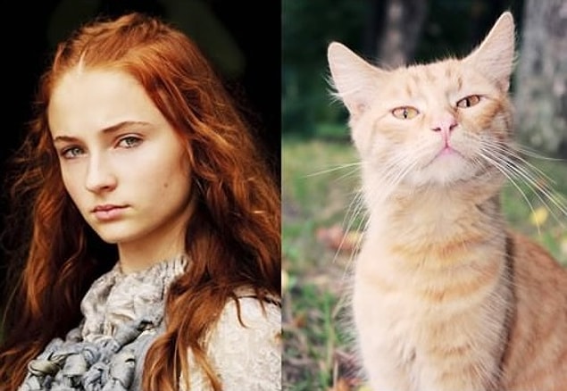 Sansa Stark