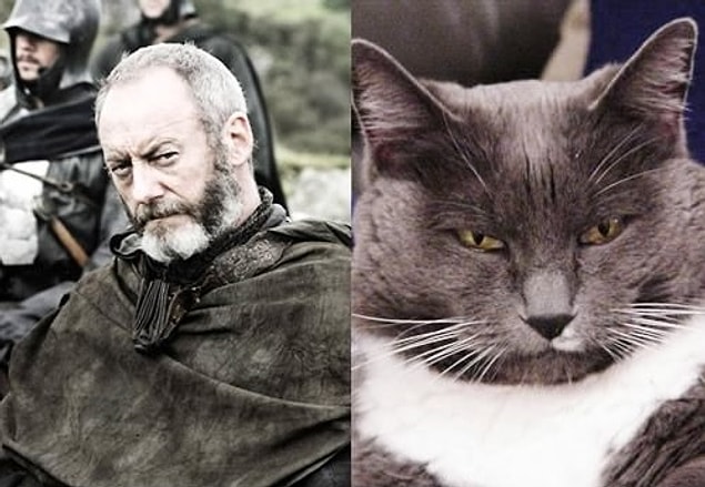 Davos Seaworth