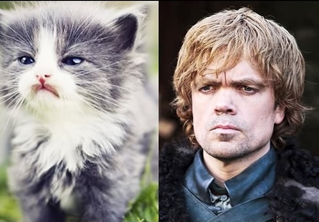Tyrion Lannister