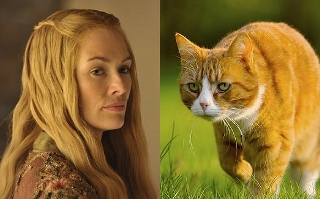 Cersei Lannister