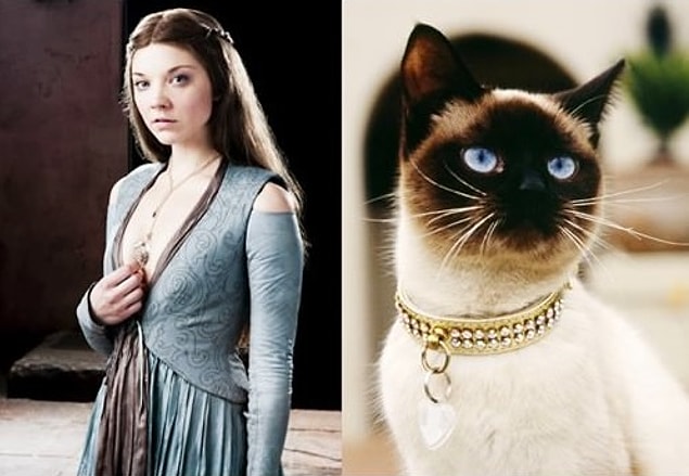Margaery Tyrell
