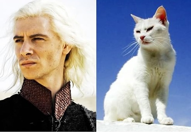 Viserys Targaryen