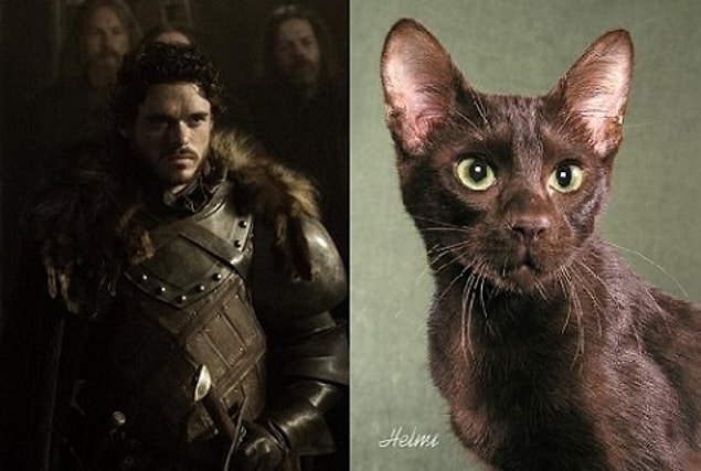 Robb Stark