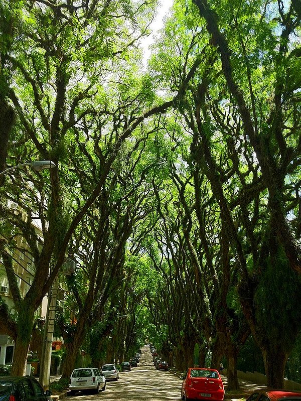 18. Rua Gonçalo de Carvalho Caddesi, Porte Alegre, Brezilya