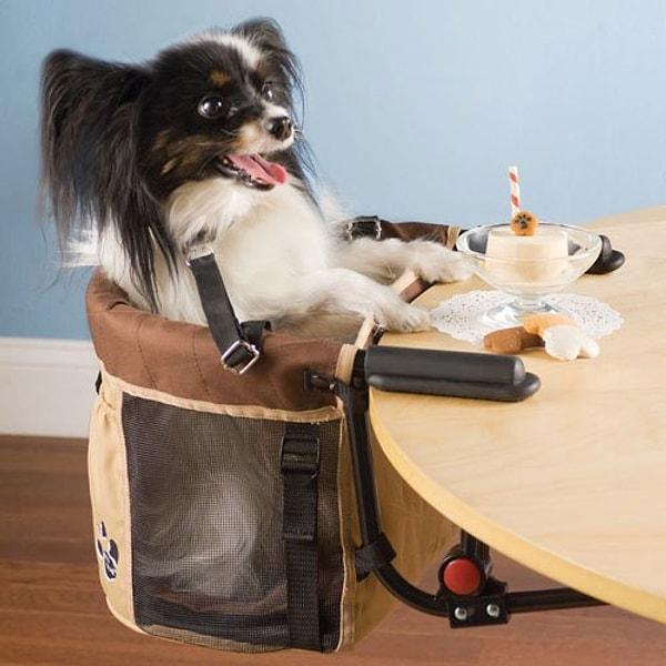 4. Köpekler için masa sandalyesi
