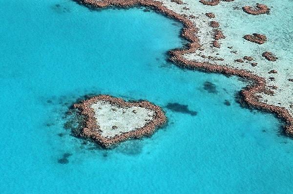 7. Doğanın Aşka Göndermesi: Kalp Resifi
