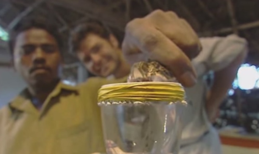 Yılan Zehrinin Kanı Dönüştürdüğü Şekil