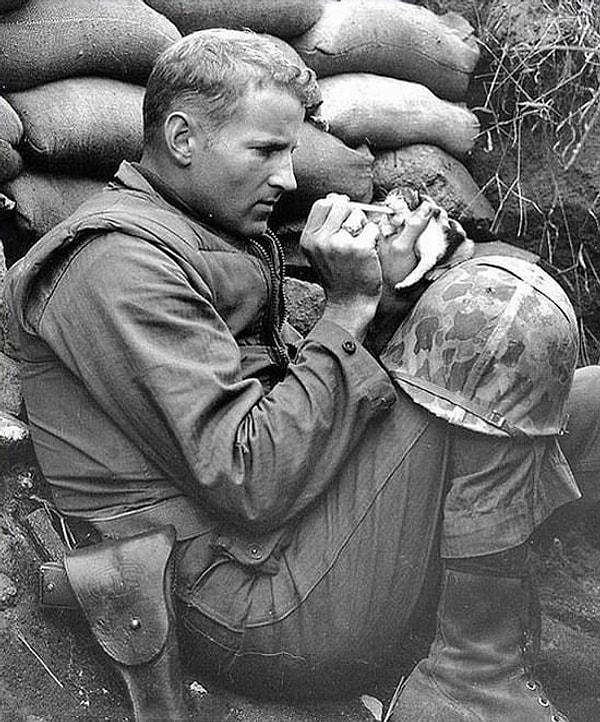 3. Çavuş Frank Praytor Kore Savaşı sırasında iki haftalık bir kedi yavrusunu besliyor.