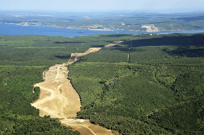 Orman Kanunu'nda 10 Yılda 10 Değişiklik Yapıldı