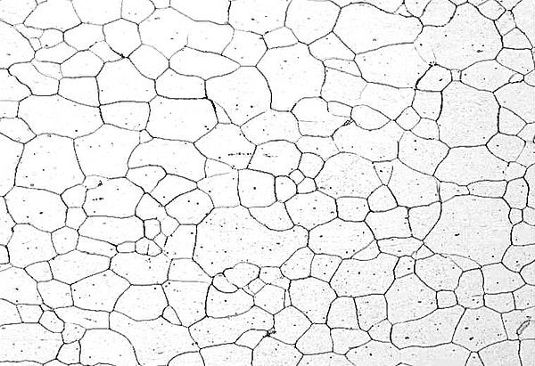 4. Zihinlerinde Mikroyapı Fotoğrafı Çekmeye Bayılırlar.