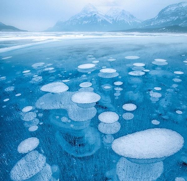 Buzun içine hapsolmuş hava baloncukları / Abraham Gölü - ABD
