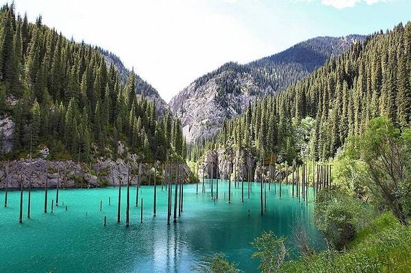 Yeraltı Ormanı Kaindy Gölü / Kazakistan