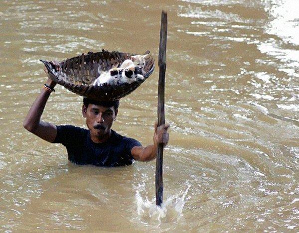 19. Pakistan'daki sel felaketinde yavru kedileri azgın sulardan kurtaran adam. (2011)