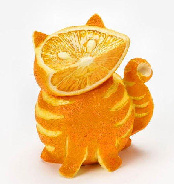 Portakal Kedi