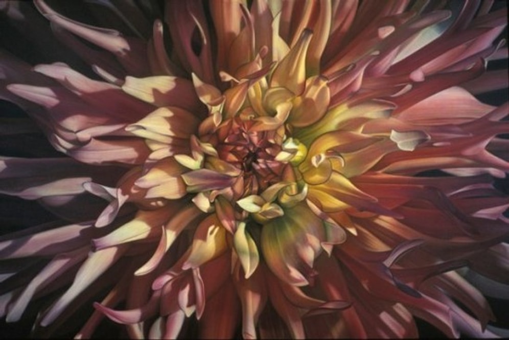 Fotoğraf Gibi Görünen 10 Yaratıcı Resim