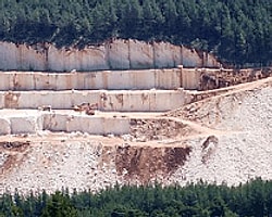 Ormanlar 'Verimsiz' Toprakmış