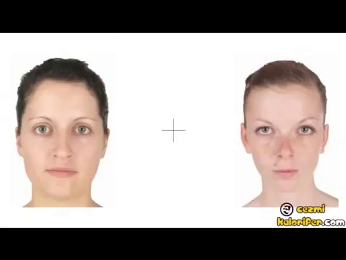 Ortadaki Artıya Kilitlenince İnsanları Canavar Gibi Algılatan Deney