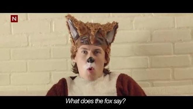 Ylves-The Fox