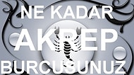 Ne Kadar Akrep Burcusunuz?