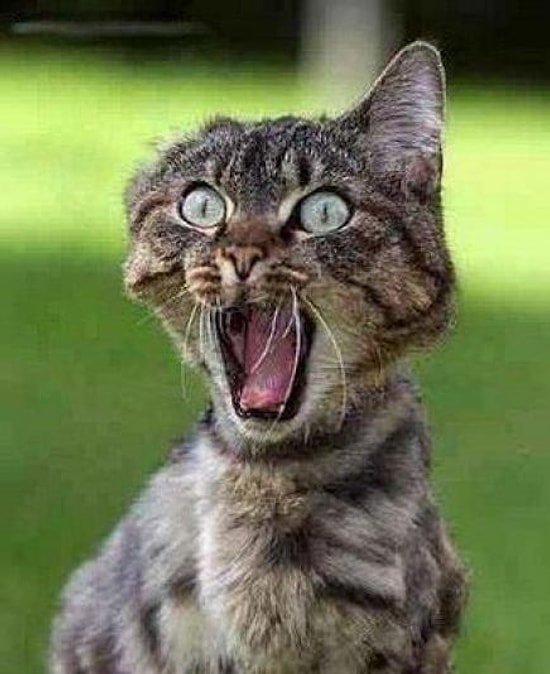 Elimizi Ayağımıza Dolaştıran 15 Panik Durumu