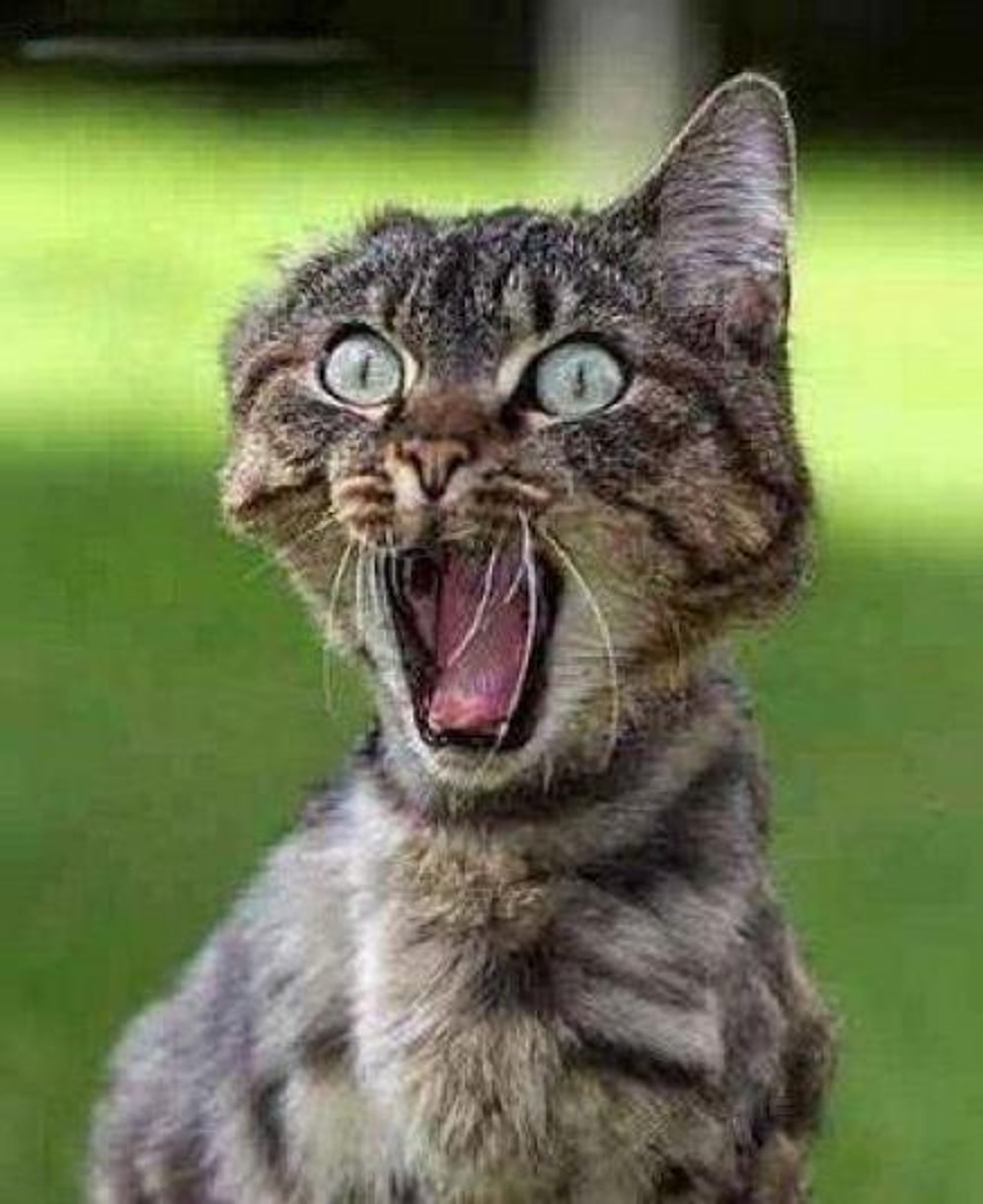 Elimizi Ayağımıza Dolaştıran 15 Panik Durumu