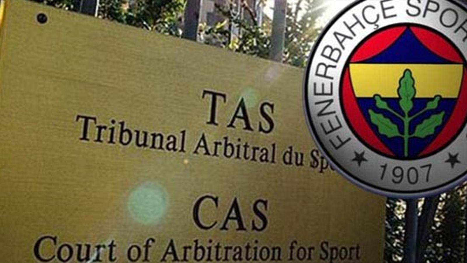 Hayvanlar Alemine Dair Bilim İnsanlarını ve Biz Meraklıları Şaşırtan İlklerin Gerçekleştiği 10 An 1
