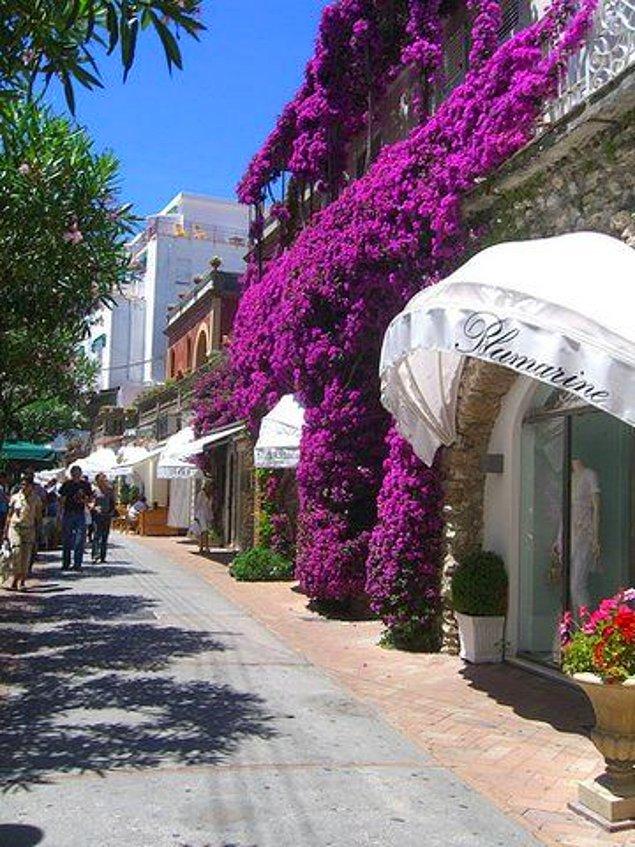 4. Famous for its purple flower pathway, Capri – Italy