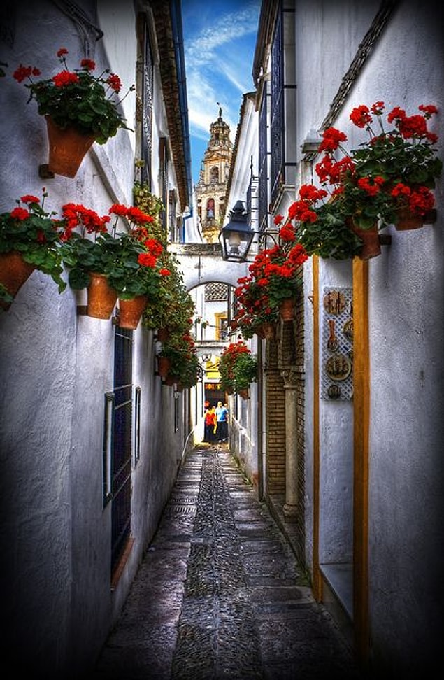 11. Calleja de las Flores, Cordoba – Spain