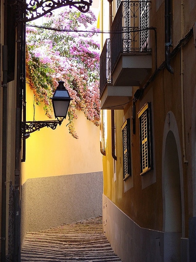 19. Palma de Mallorca, the street covered with begonias!