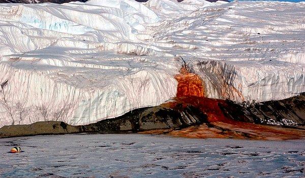 10. Antarktika'daki Kan Şelalesi