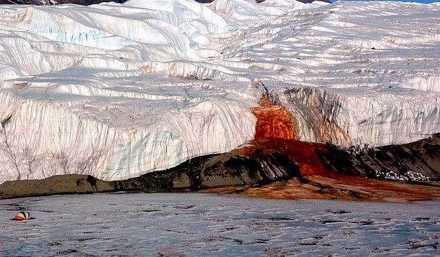 10. Antarktika'daki Kan Şelalesi