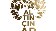 2. Uluslararası Altın Çınar Film Festivaline Katılmanız İçin 8 Neden
