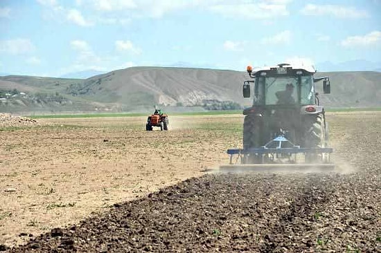 Keban Barajı'nda Su Çekildi, Tarım Başladı